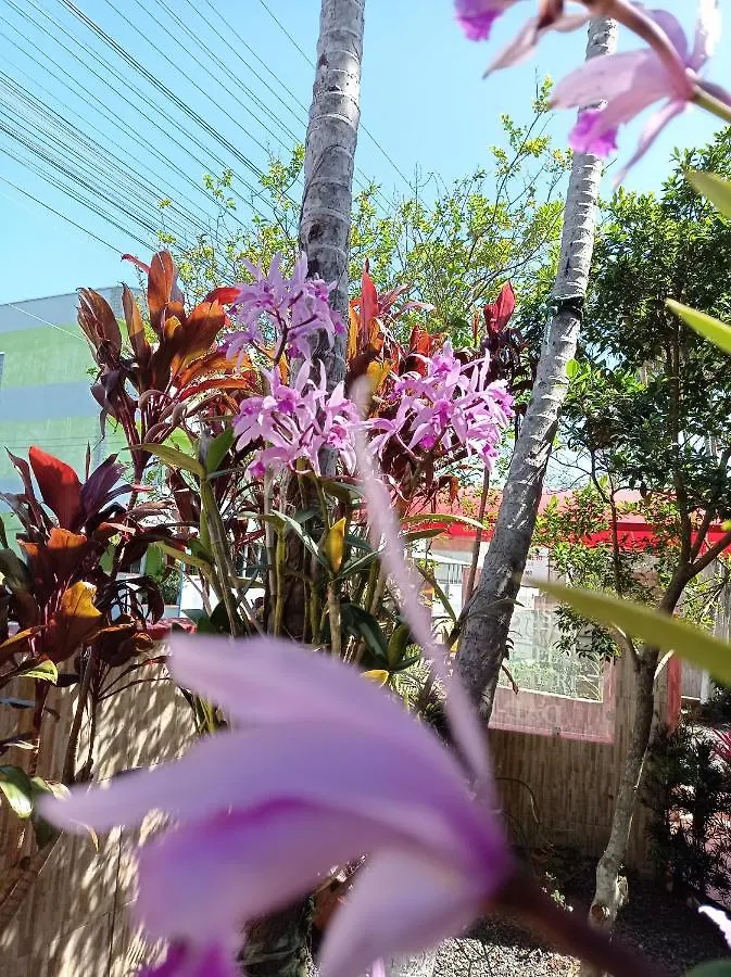 Guest house Pousada Navegantes